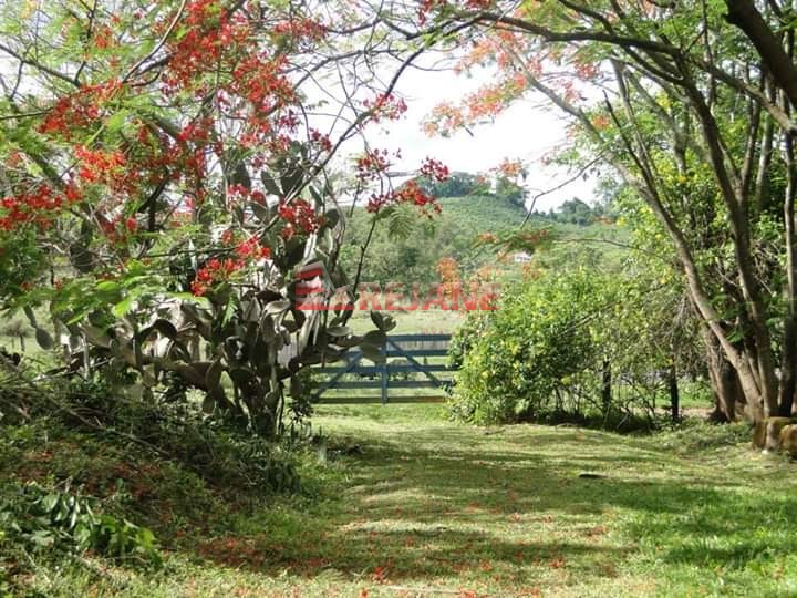 Foto: Sítio - Zona Rural - Monte Santo de Minas